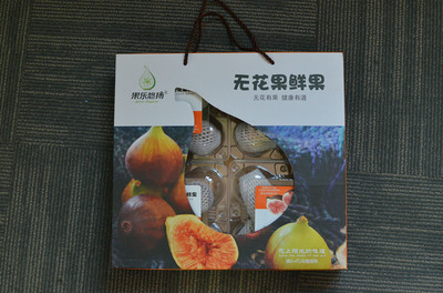 即墨段泊嵐種下一片無花果 結出致富產業(yè)鏈