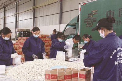 劍川 鋪就脫貧攻堅小康路，打造初級農產品銷售新模式