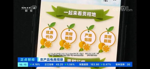 貢柑樹認養 一畝田攜手德慶縣，央視聚焦農產品產銷新篇章