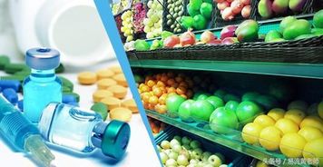 筑牢安全防線 冷鏈物流在初級農產品銷售中的關鍵作用